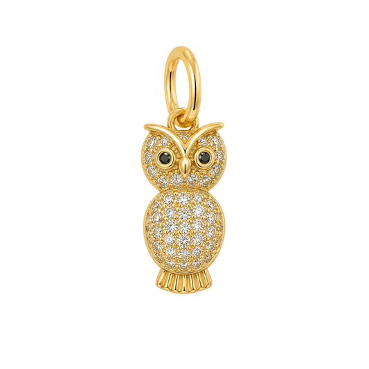 Pave Owl